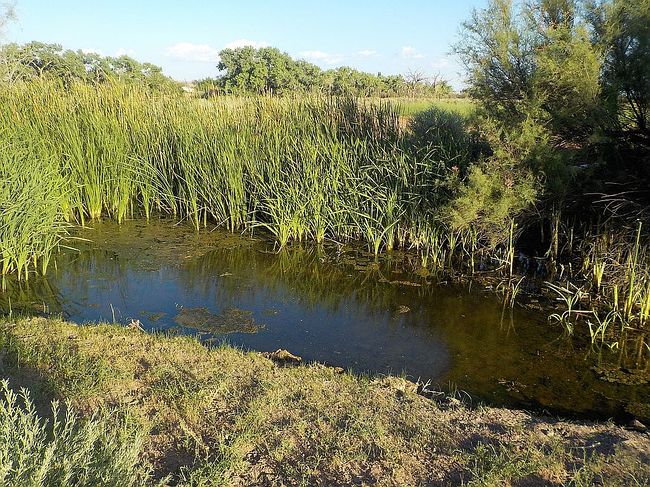 Image of 6471 River Rd