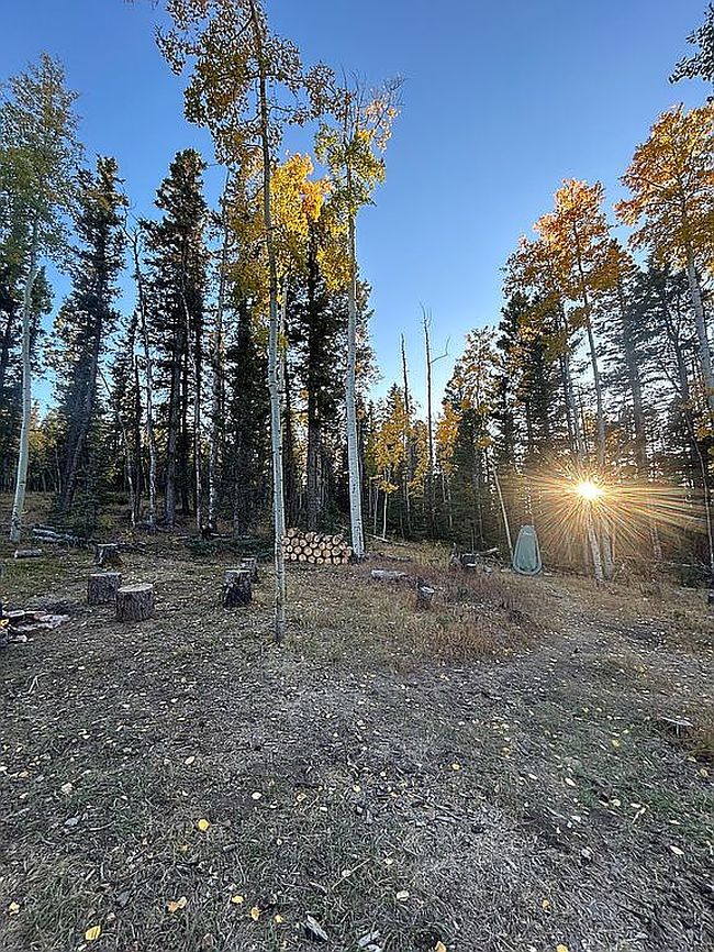 Image of 327 Timberline Dr
