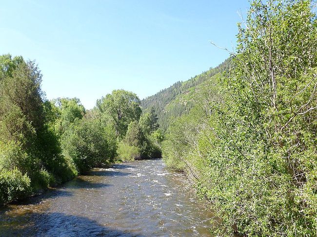 Image of El Macho Pecos Cyn