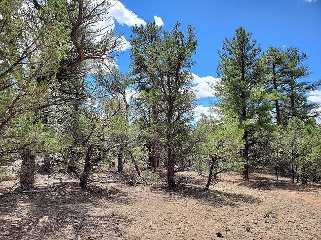 Photo of Parcel 76004520 15th Trl, Cotopaxi, CO