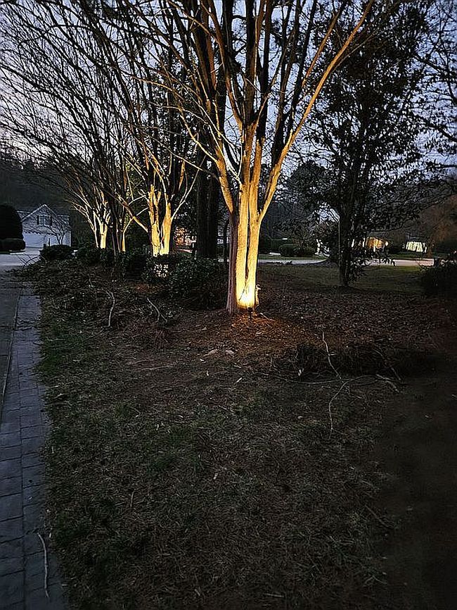 Photo of 1329 Wynncrest Ct, Raleigh, NC