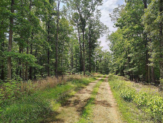 Photo of 498 Peaceful Ln, Yellville, AR