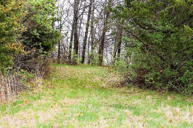 Photo of 31397 Highway Jj, Marceline, MO
