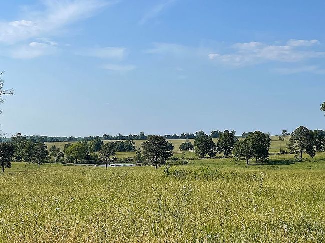 Photo of 0 County Road 4300