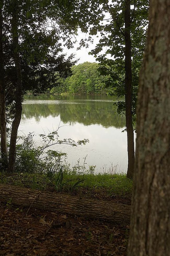Image of 155 Cypress Point Dr