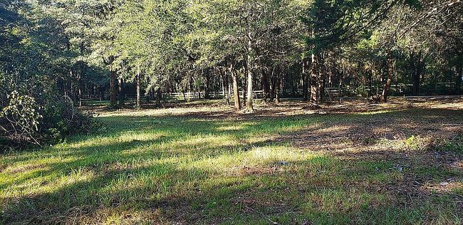 Image of 12910 County Road 49