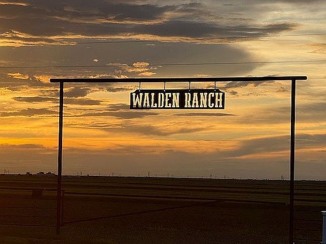 Photo of 4503 County Road 208, Carpenter, WY