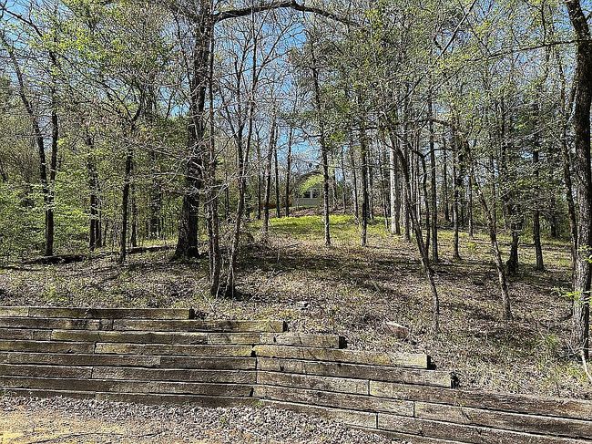 Photo of 304 Magby Ln, Gillham, AR