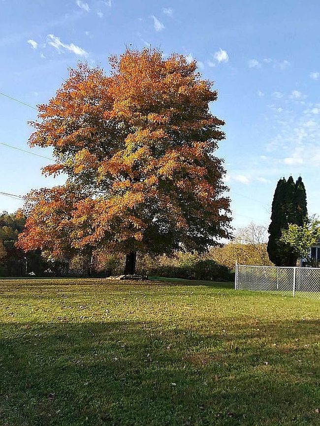 Photo of 133 Blue Hall Rd, Olive Hill, KY