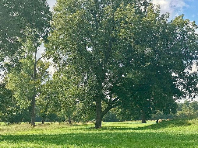 Photo of 4547 Highway 32 W, Foreman, AR