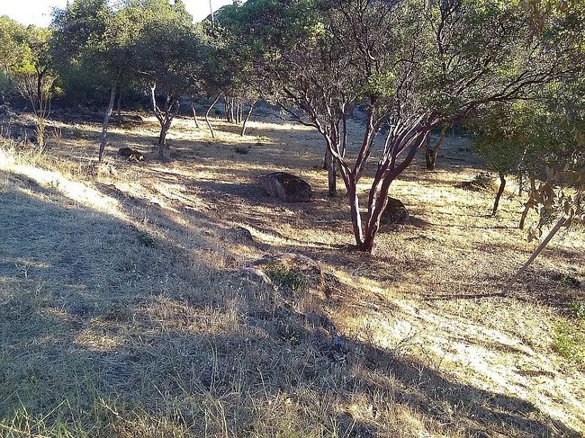 Photo of 9889 Emerald Dr, Kelseyville, CA