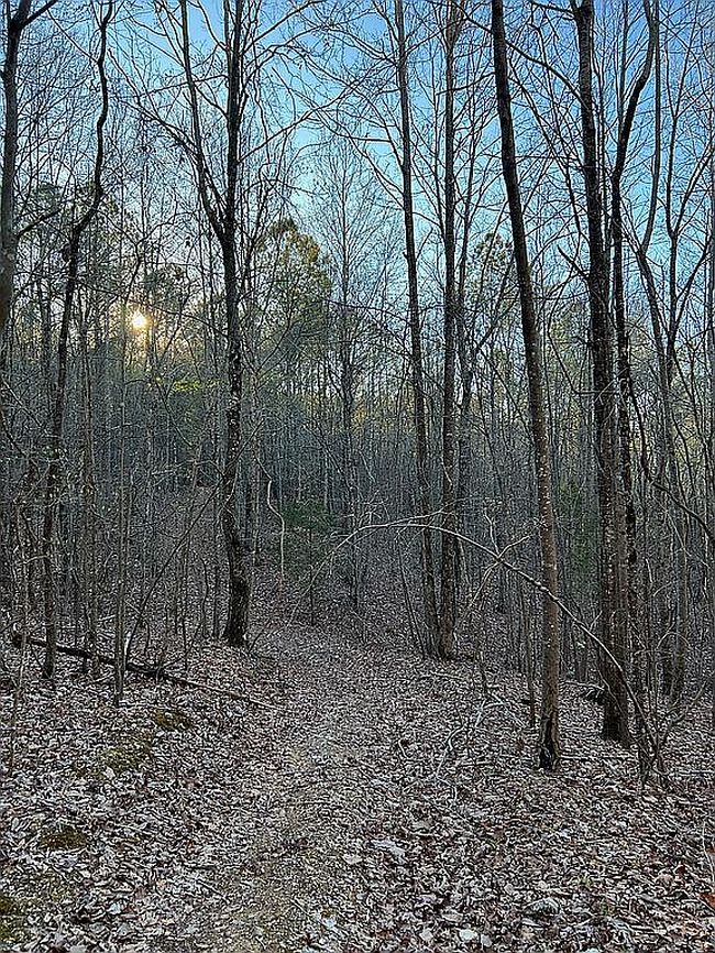 Image of 9608 County Road 31