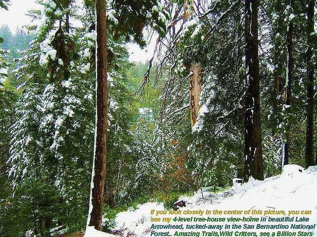 Photo of 298 S Fairway Dr, Lake Arrowhead, CA