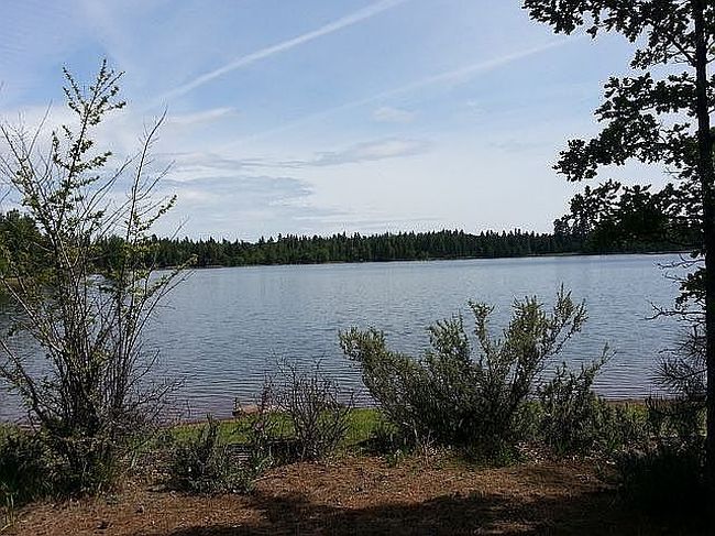Image of 116 Lake Way