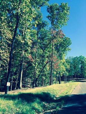 Preview of property located at 94 River Mountain Rd