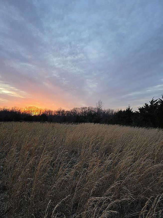Image of 2181 Bluestem Rd