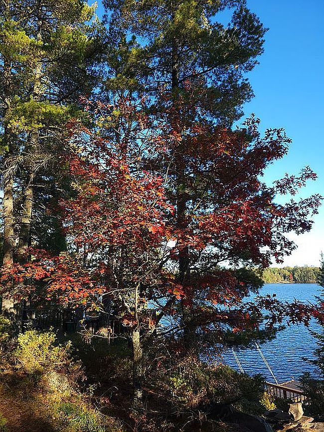 Photo of 2370 Keyes Is, International Falls, MN