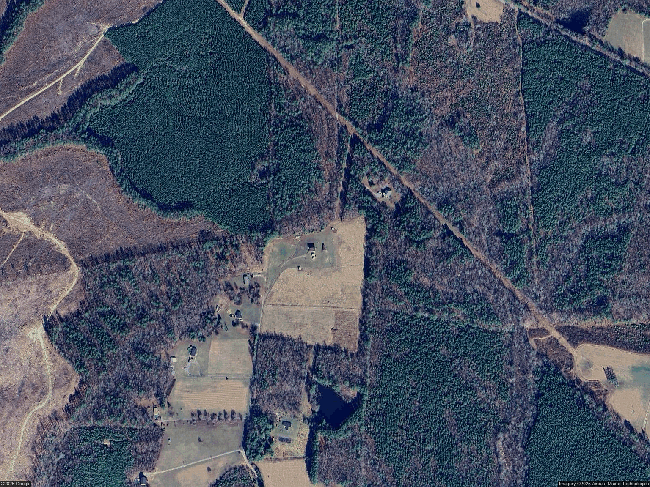 Image of 12351 Willow Oaks Ln