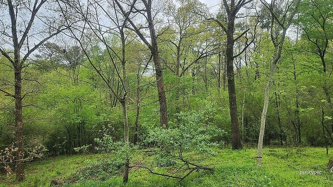 Photo of 577 Wilson Lake Ln, Hot Springs, AR