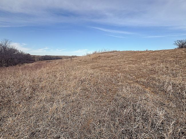 Image of 00000 Whippoorwill Rd
