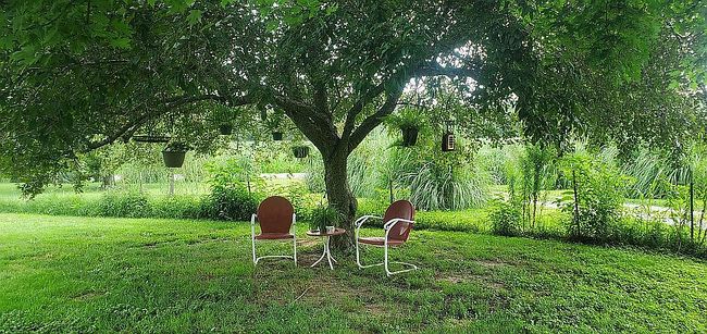 Photo of 4295 Lick Creek Rd, Buncombe, IL