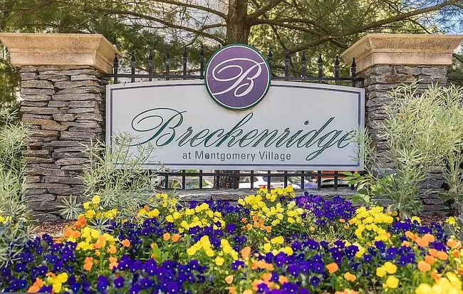 Image of 9906 Boysenberry Way Apt 115