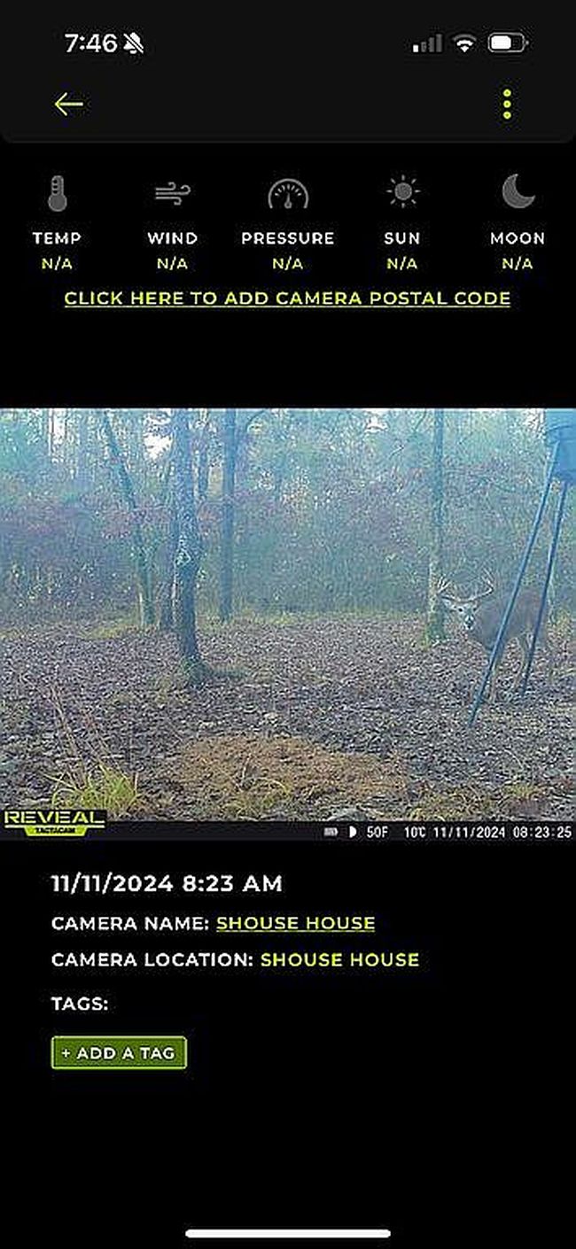 Photo of 487 Shouse Ford Rd, Amity, AR