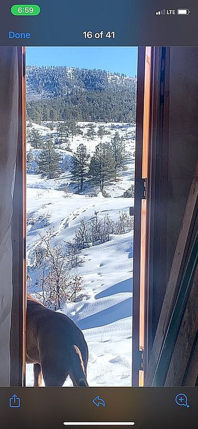 Photo of 230 Kristina Ct, Pagosa Springs, CO