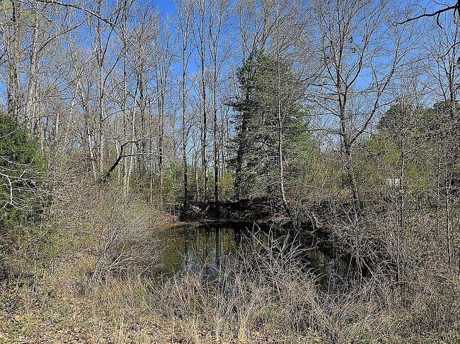 Image of 101 Butler Ln