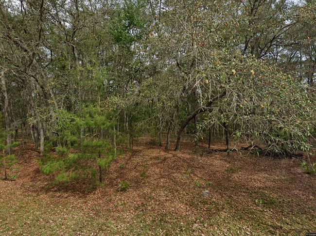 Photo of 110 Huron St, Interlachen, FL