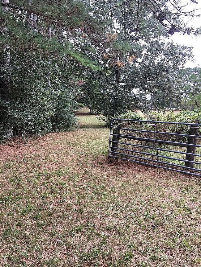 Image of 3562 Summertown Hwy