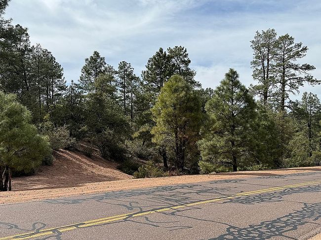 Photo of 700 N Tyler Pkwy, Payson, AZ