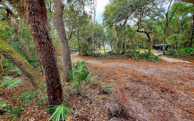 Image of 11573 E Steamboat Dr