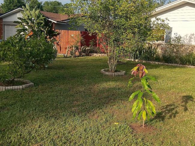 Photo of 725 Highland Ter, Titusville, FL