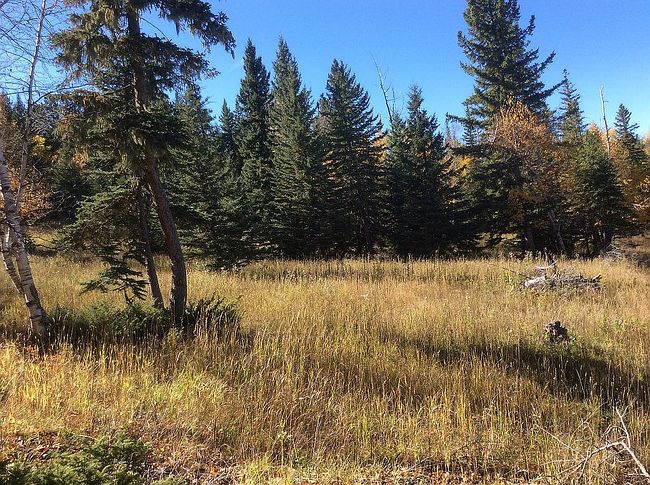 Photo of 21315 Spring Run Rd, Deadwood, SD