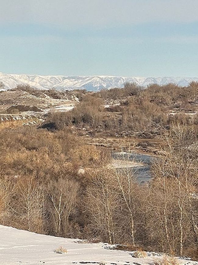 Photo of 1227 Whitetail Ln, Powell, WY