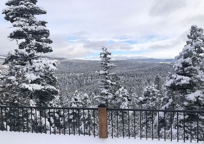 Image of 31 Peralta Dr