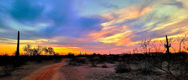 Additional photo 3 of property located at 1065 N San Marcos Dr #43