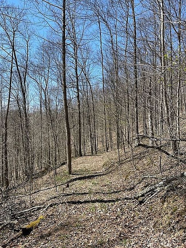 Image of 1375 Dry Fork Rd