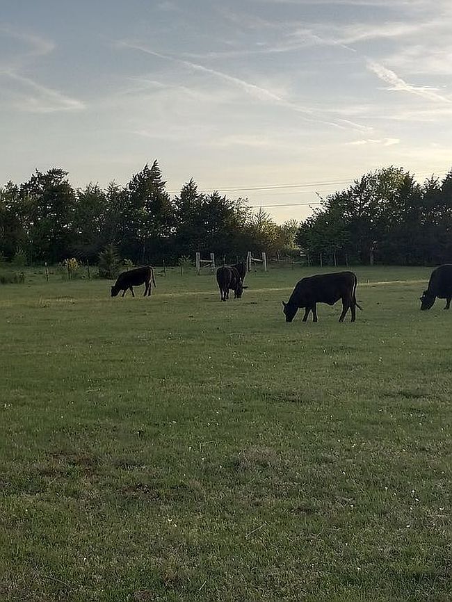 Additional photo 2 of property located at 13020 N Air Depot