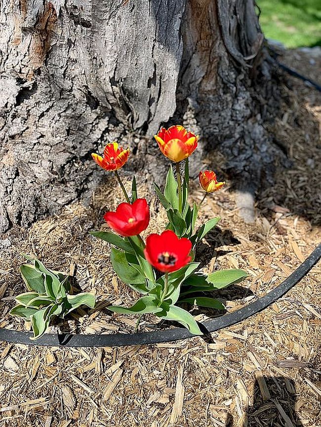 Additional photo 2 of property located at 416 11th St W