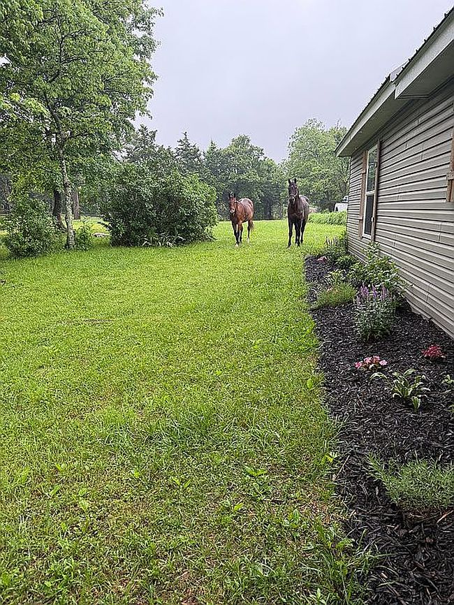 Photo of 2287 County Road 6210, Jadwin, MO