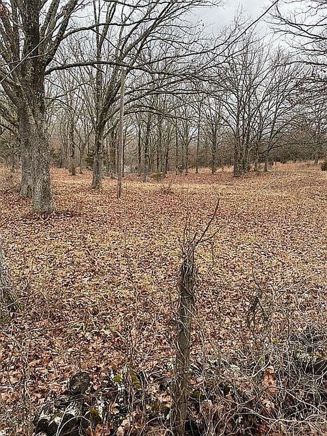Image of 15535 Private Drive 1063