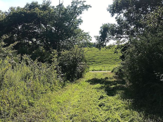 Image of 1560 Milam Clark Rd