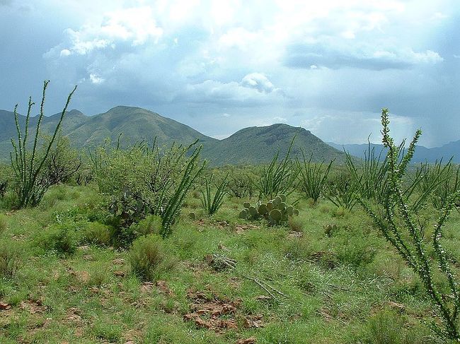 Photo of 0 Camino Carina #145