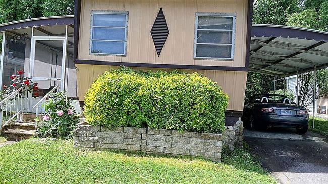 Image of 64 Yellow Buckeye Ln