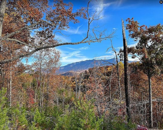 Photo of 854 Cliff Branch Rd, Gatlinburg, TN