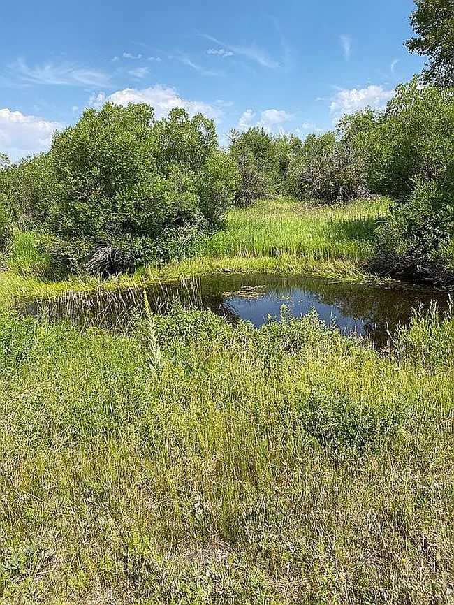 Photo of 815 Fall River Springs Ln, Chester, ID