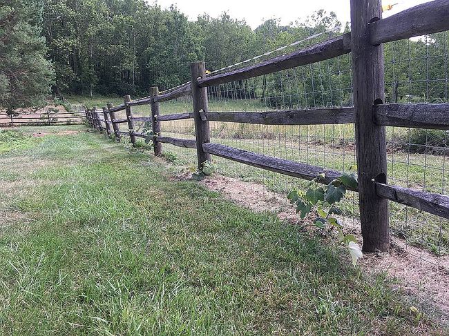 Image of 4010 Warren Chapel Rd
