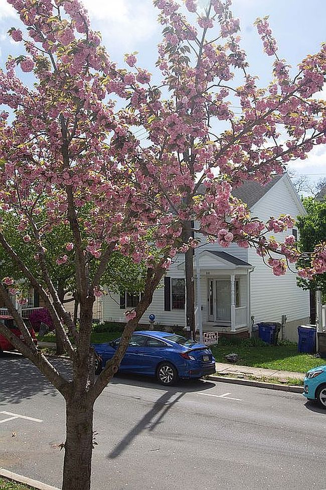 Image of 818 View St